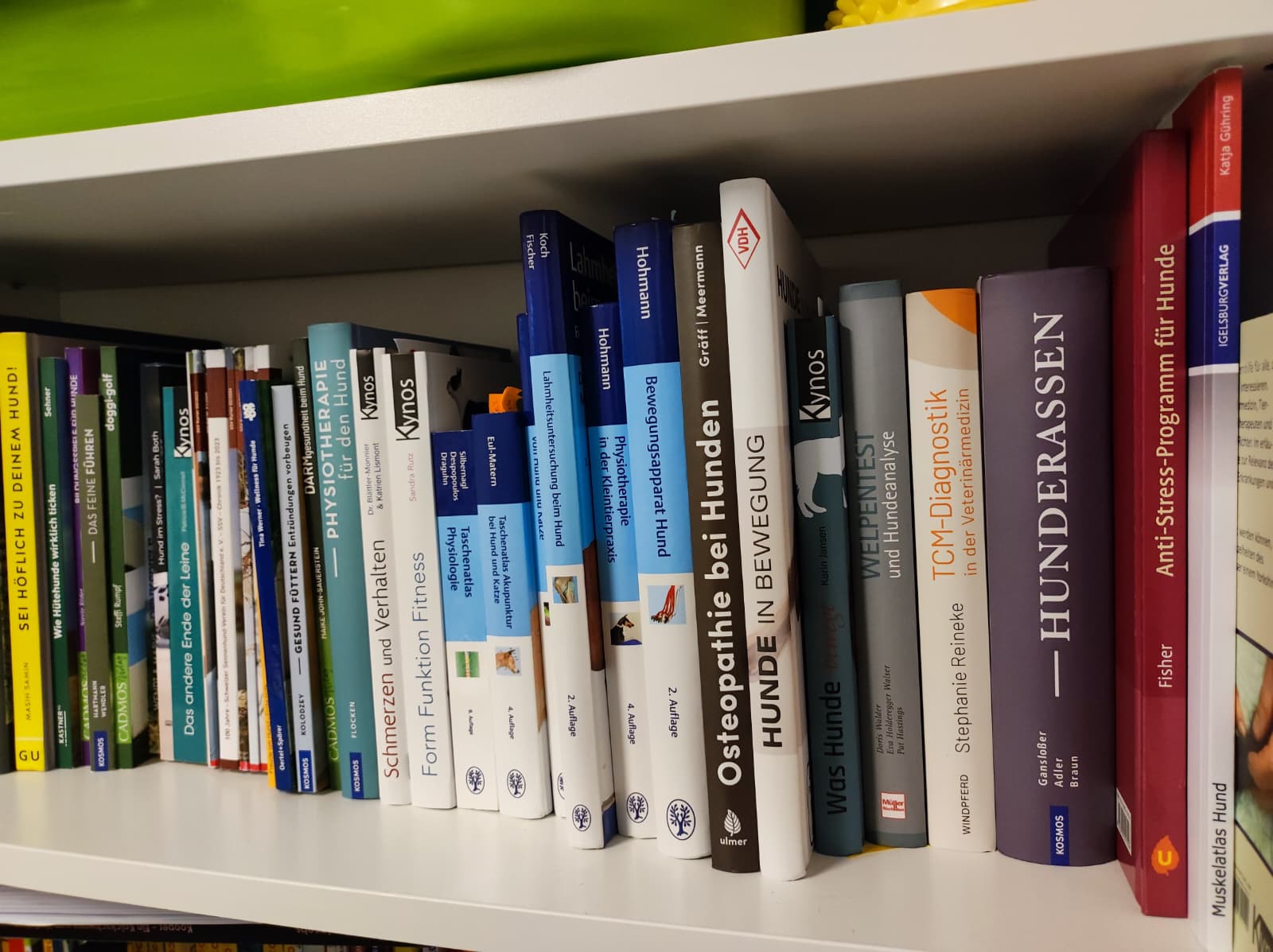 WhatsApp Bild 2025-11-01 um 16.55.01_694b37e9