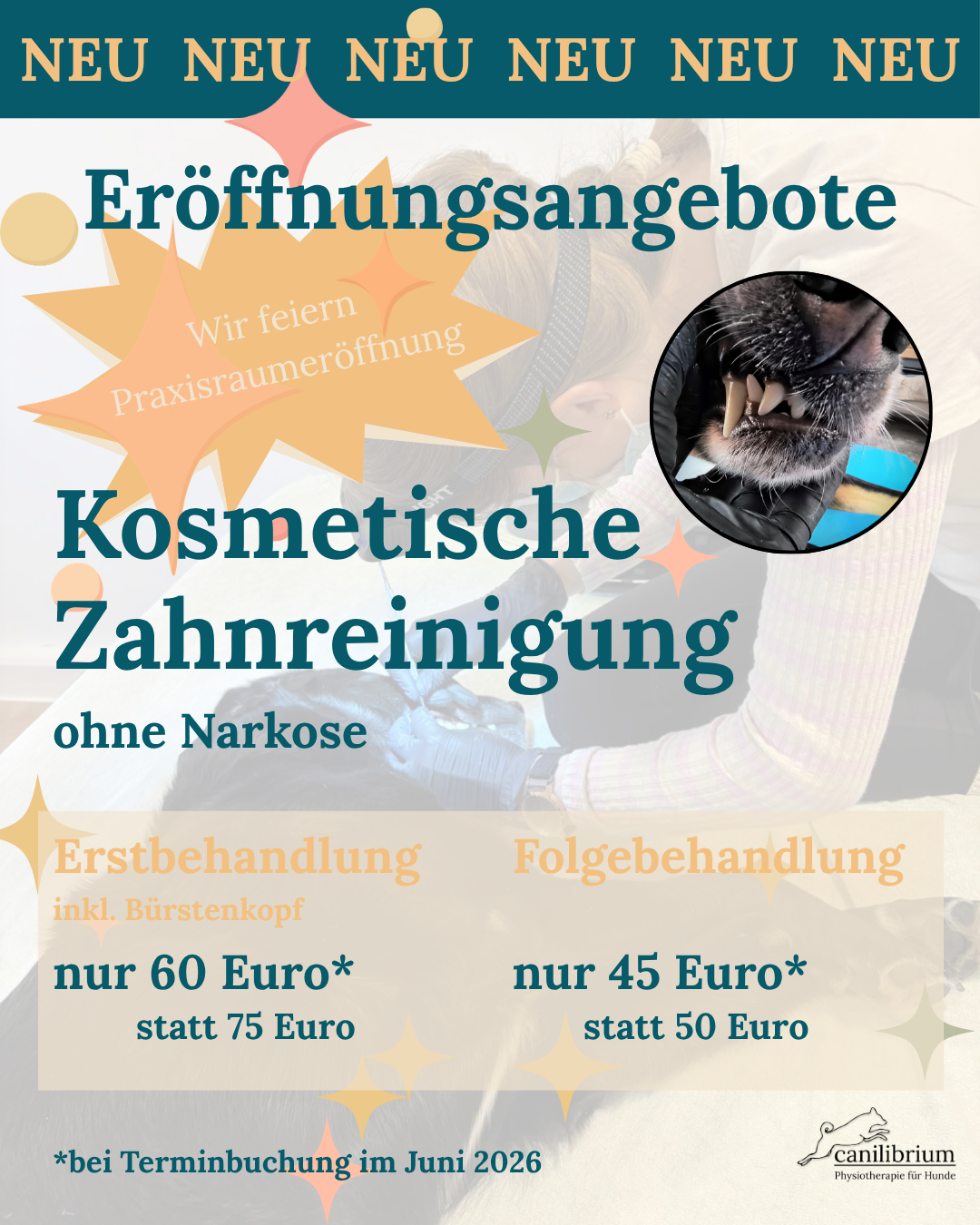 NEU NEU NEU NEU NEU